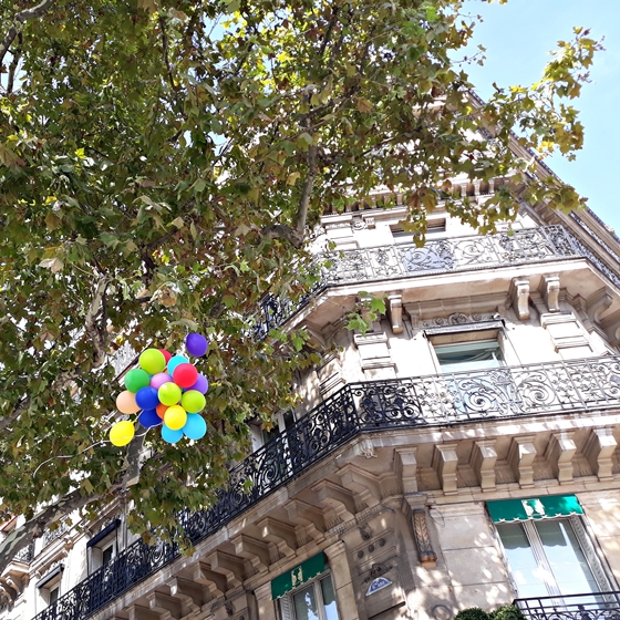 COLORFUL @PLACE SAINT GERMAIN DES PRES