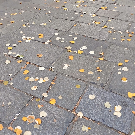 CONFETTIS D'AUTOMNE @PLACE SAINT GERMAIN DES PRES